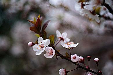 港任发布《异度神剑3》新情报 深入讲解招式（战技）